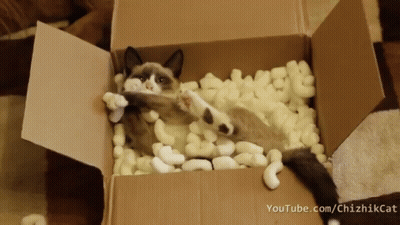 Cat Laying In Cardboard Box Youtube.com/chizikcat GIF