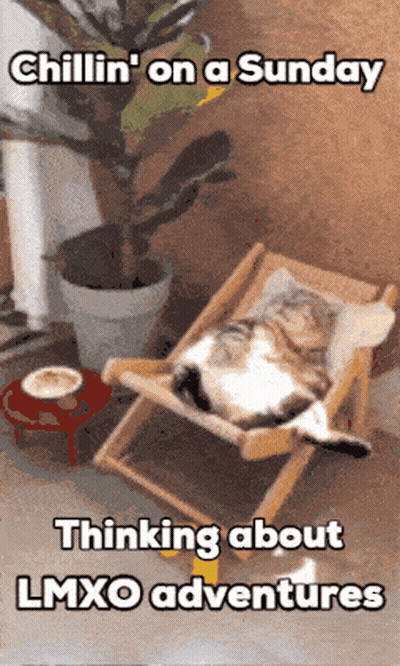 Cat Laying In Chair Chillin On A Sunday Thinking About Lmxo Adventures GIF