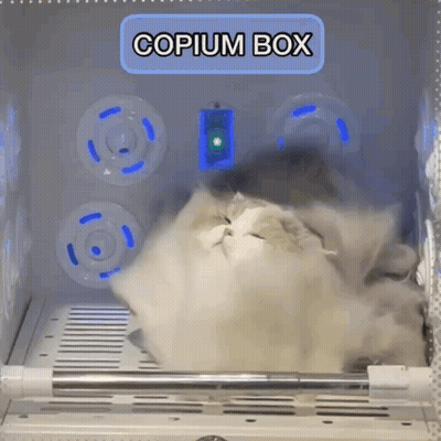 Cat Laying In Copium Box With Light GIF