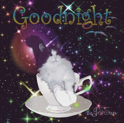 Cat Laying In Cup Saying Goodnight GIF