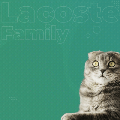Cat Laying In Front Of Lacoste Family Logo GIF