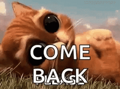 Cat Laying In Grass Saying Come Back GIF