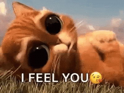 Cat Laying In Grass Saying I Feel You GIF