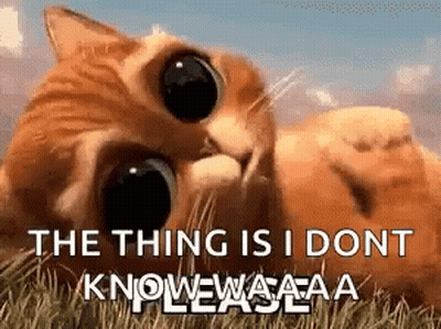 Cat Laying In Grass Saying The Thing Is I Dont Know GIF