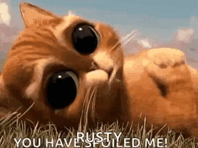 Cat Laying In Grass Saying You Have Spoiled Me GIF