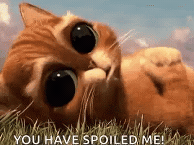 Cat Laying In Grass Saying You Have Spoiled Me GIF