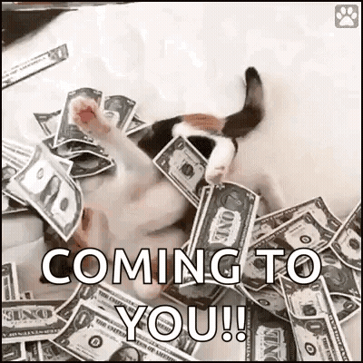Cat Laying In Pile Of Money Coming To You GIF