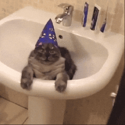 Cat Laying In Sink With Party Hat GIF