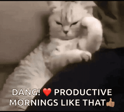 Cat Laying Lap Dang Productive Mornings Like That GIF