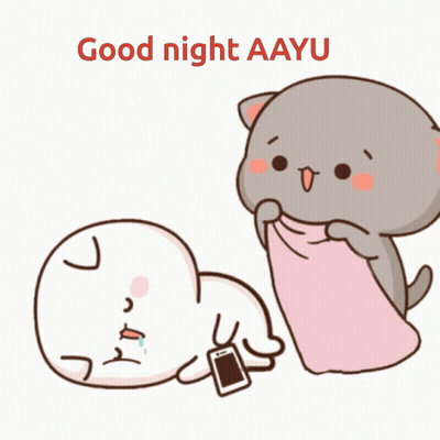Cat Laying On Another Cat Good Night Aayu GIF