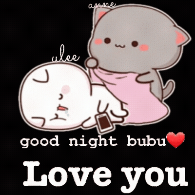 Cat Laying On Another Cat Good Night Bubu Love You GIF