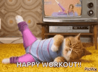 Cat Laying On Back In Front Of TV Wearing Leggings GIF