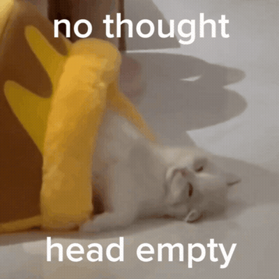 Cat Laying On Back No Thought Head Empty GIF