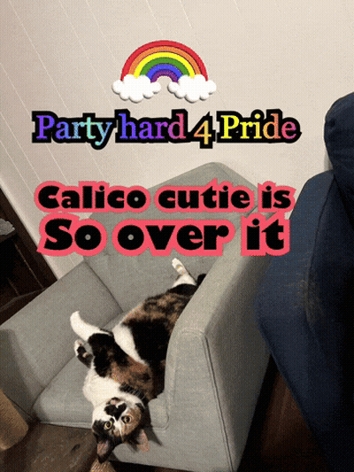 Cat Laying On Back Party Hard 4 Pride GIF