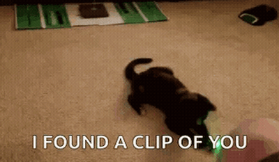 Cat Laying On Back Says I Found A Clip Of You GIF