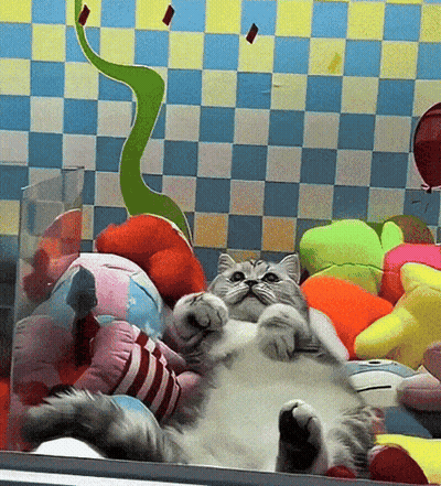 Cat Laying On Back Surrounded By Stuffed Animals And Balloons GIF