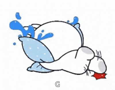 Cat Laying On Back With Pillow On Head GIF