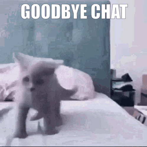 Cat Laying On Bed Goodbye Chat GIF