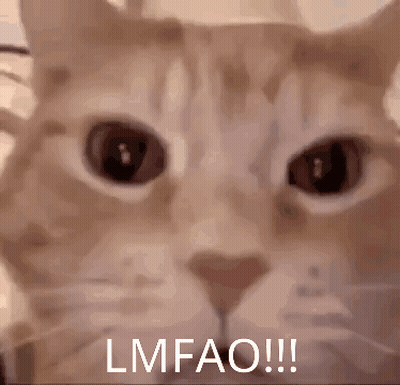 Cat Laying On Bed Lmfao!!! GIF