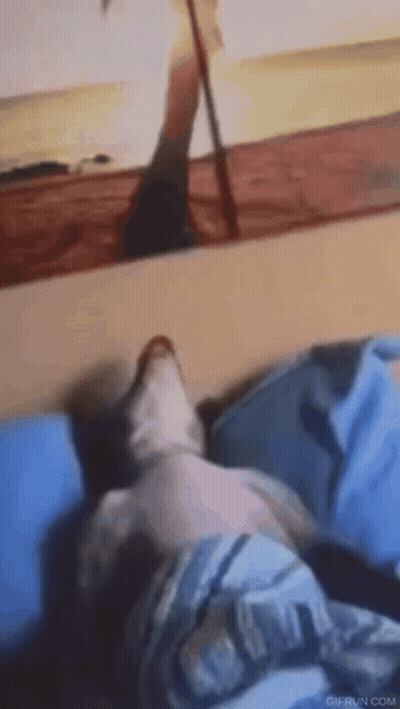 Cat Laying On Bed Looking At Mirror GIF