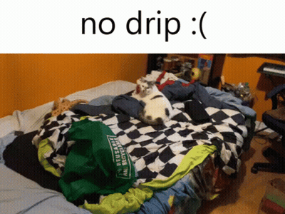 Cat Laying On Bed Next To Green Bag Saying Reuse & Recycle GIF