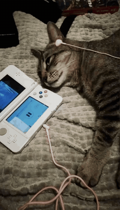 Cat Laying On Bed Next To Nintendo DS GIF
