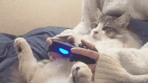 Cat Laying On Bed Playing Video Game GIF
