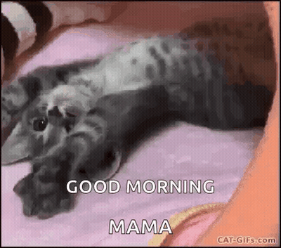 Cat Laying On Bed Saying Good Morning Mama GIF