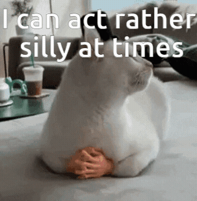 Cat Laying On Bed Saying I Can Act Rather Silly At Times GIF
