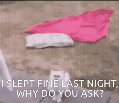 Cat Laying On Bed Saying I Slept Fine Last Night GIF