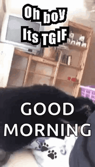 Cat Laying On Bed Saying Oh Boy TGIF Good Morning GIF