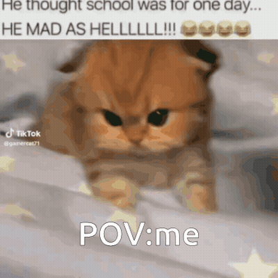 Cat Laying On Bed Saying School Was For One Day GIF