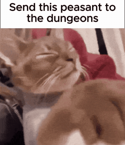 Cat Laying On Bed Send This Peasant To The Dungeons GIF