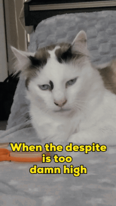 Cat Laying On Bed When The Despite Is Too Damn High GIF
