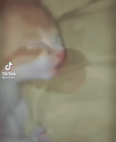 Cat Laying On Bed With TikTok Watermark GIF