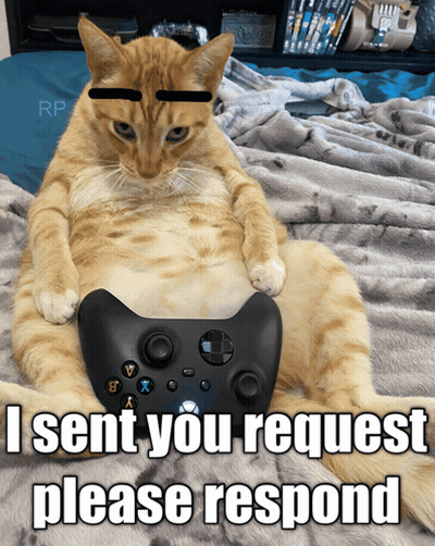 Cat Laying On Bed With Xbox Controller Saying I Sent You Request Please Respond GIF