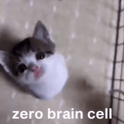 Cat Laying On Blanket Saying Zero Brain Cell GIF