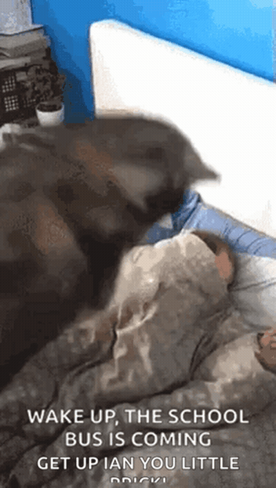 Cat Laying On Child's Head GIF