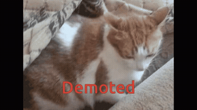 Cat Laying On Couch Demoted GIF
