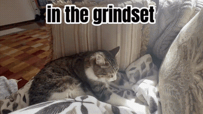 Cat Laying On Couch In The Grindset GIF