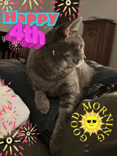 Cat Laying On Couch Saying Happy 4Th GIF