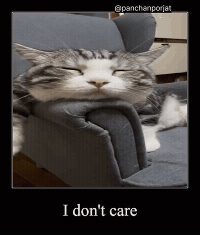 Cat Laying On Couch Saying I Don't Care GIF