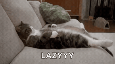 Cat Laying On Couch Saying Lazyyy GIF