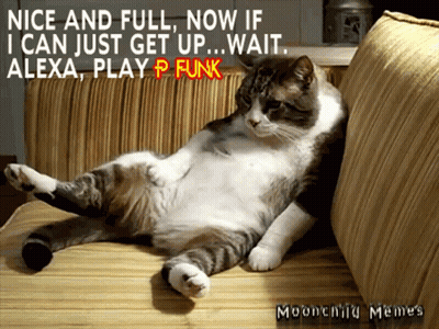 Cat Laying On Couch Saying Nice And Full Now If I Can Just Get Up Wait GIF