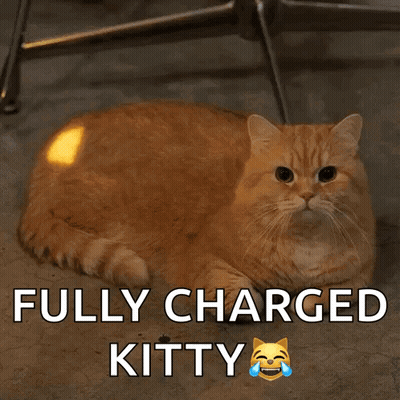 Cat Laying On Floor Fully Charged Kitty GIF