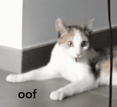 Cat Laying On Floor Next To Wall Saying Oof GIF