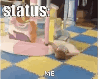 Cat Laying On Floor Saying Status Me GIF