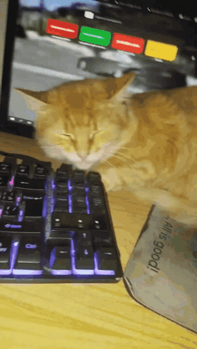 Cat Laying On Keyboard Next To All Is Good Mouse Pad GIF