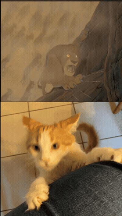 Cat Laying On Lap Next To Lion King Picture GIF