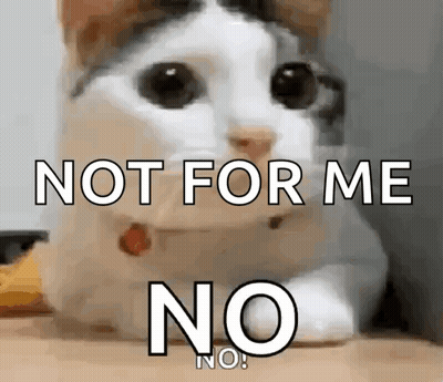 Cat Laying On Lap Saying Not For Me No GIF